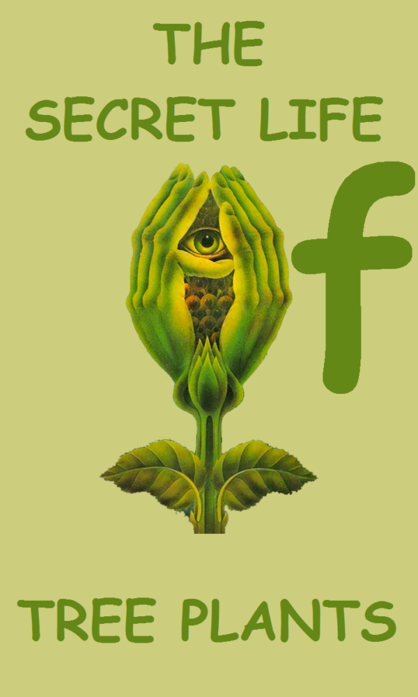 The Secret Life Of Tree Plants Can Plants Feel Pain? Wood Wide 