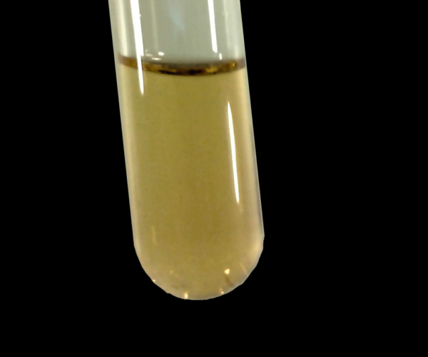 Fluorine F (Element 9) of Periodic Table Elements Flash Cards