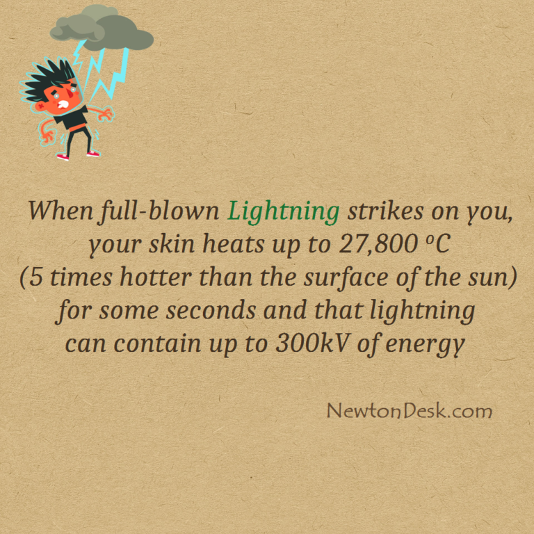 What Happens When Lightning Strikes Human Nature Facts 