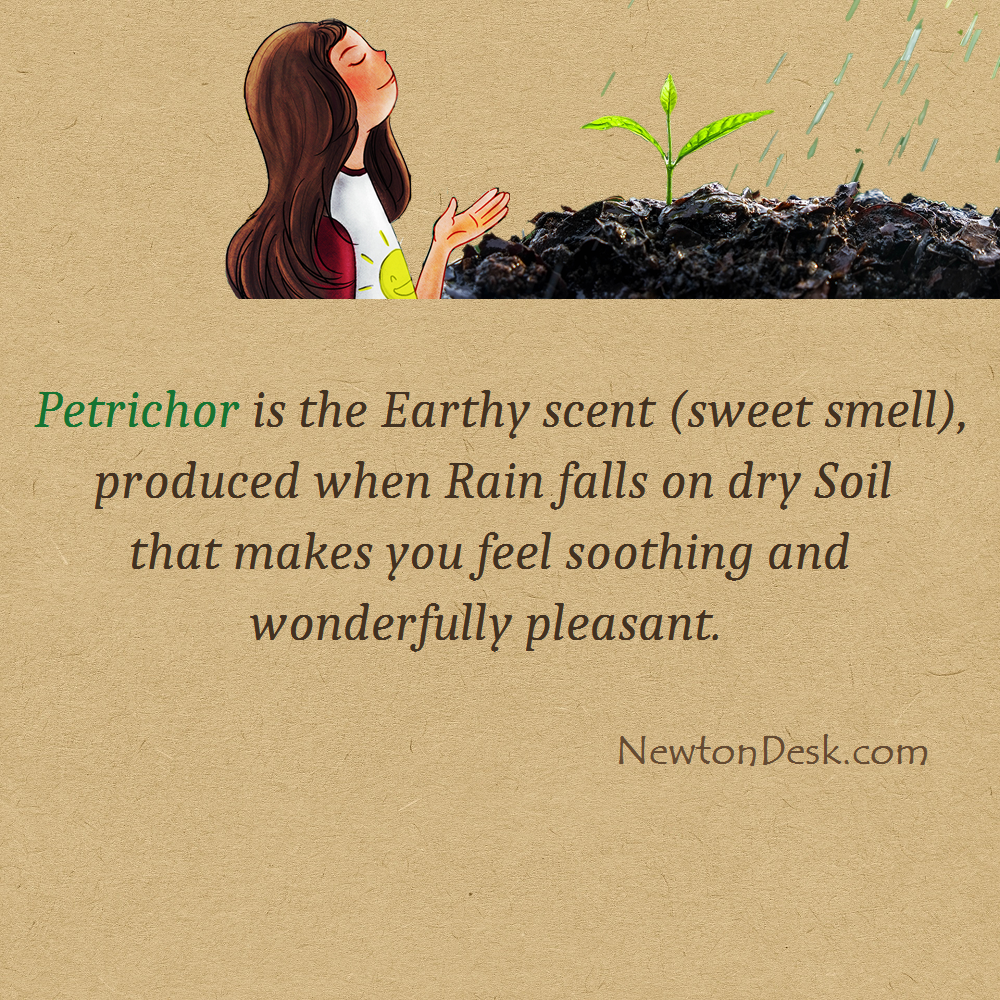 soil smell after rain