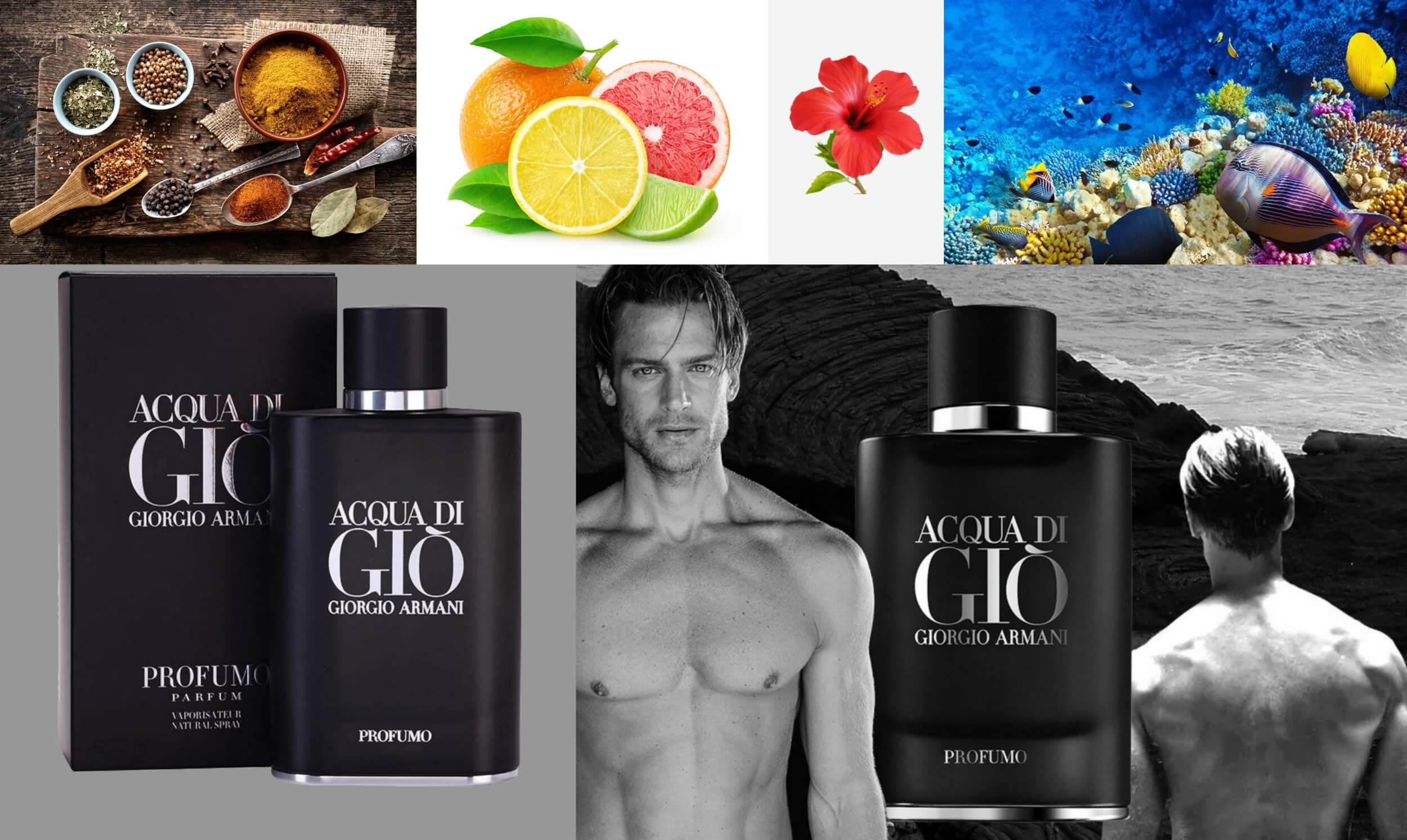 15 Best Perfumes for Men in the World