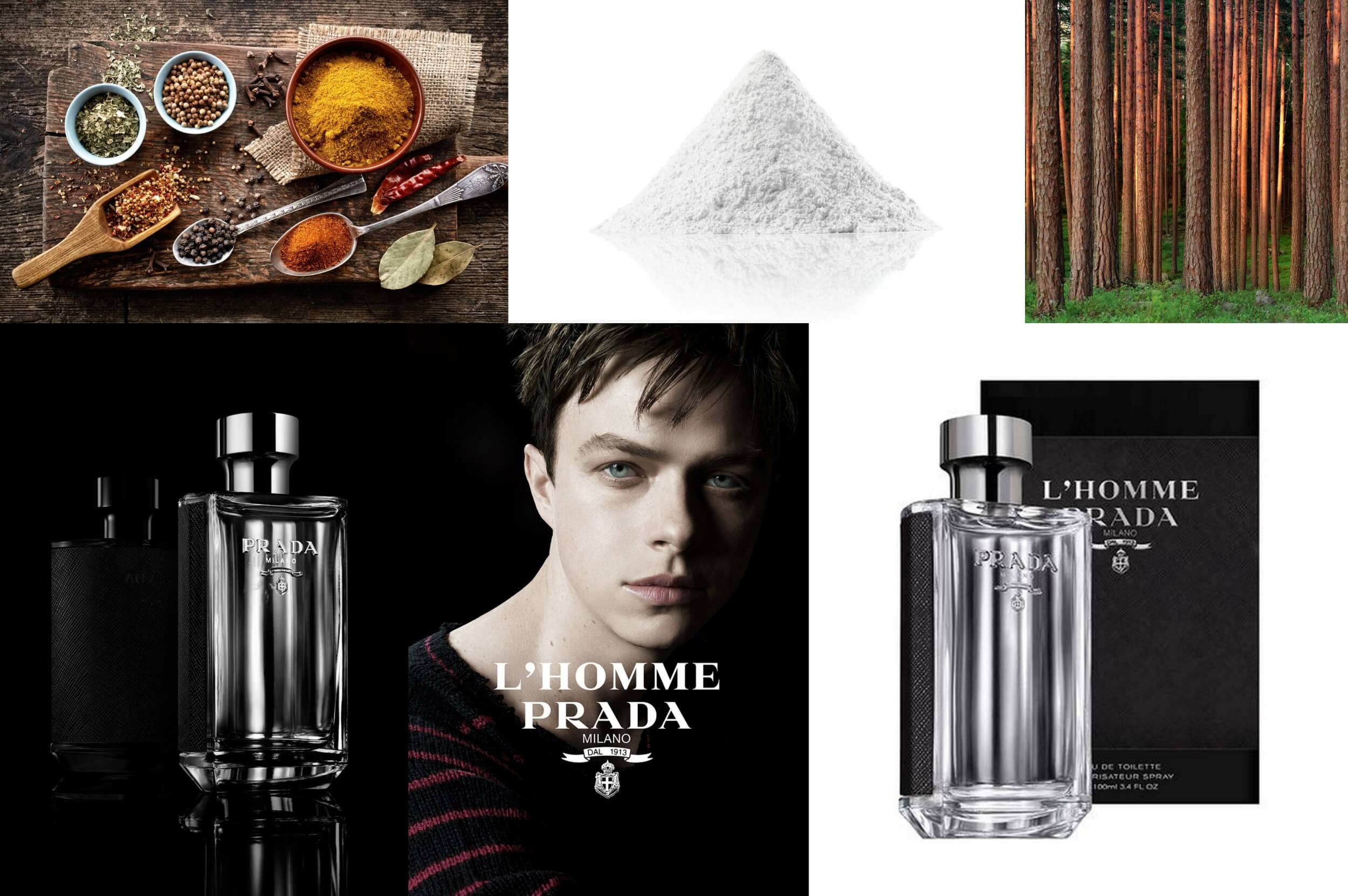Top 10 Best Perfumes / Cologne For Men In The World, Top Ten Lists