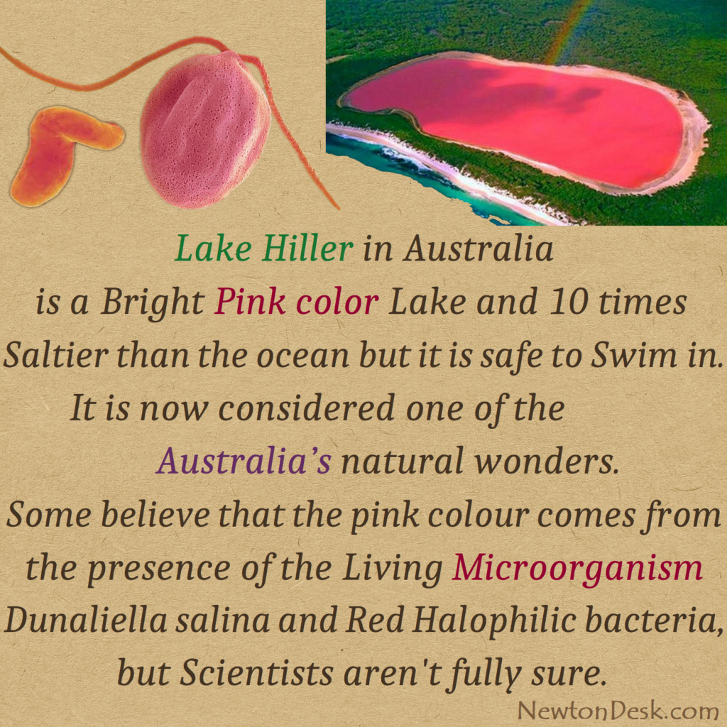 Hiller pink lake Australia
