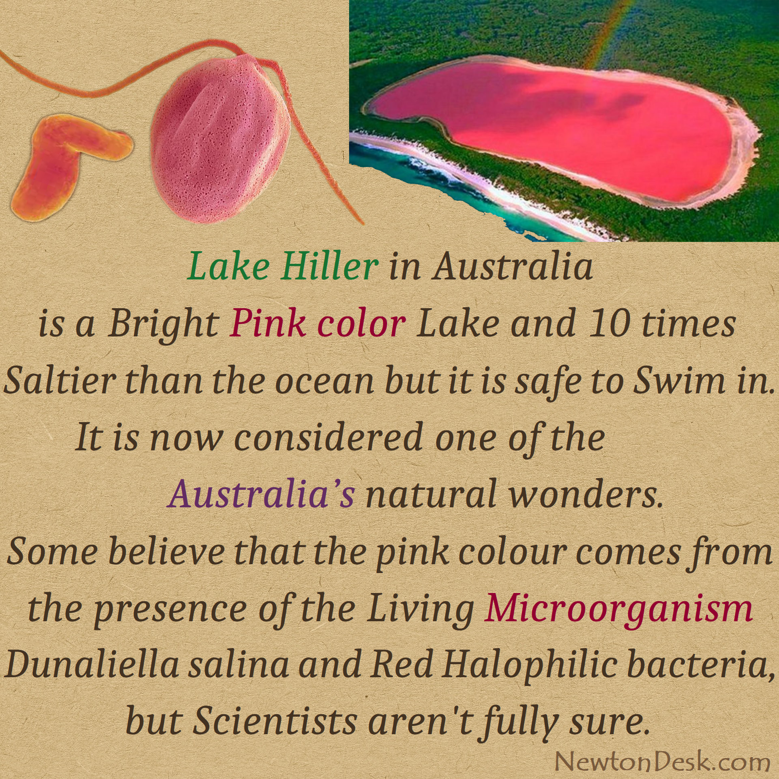 lake hillier facts
