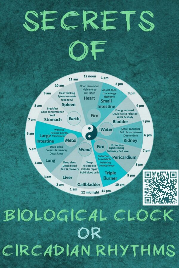Secrets of Biological Clock or Body Clock or Circadian Rhythms Ayurveda