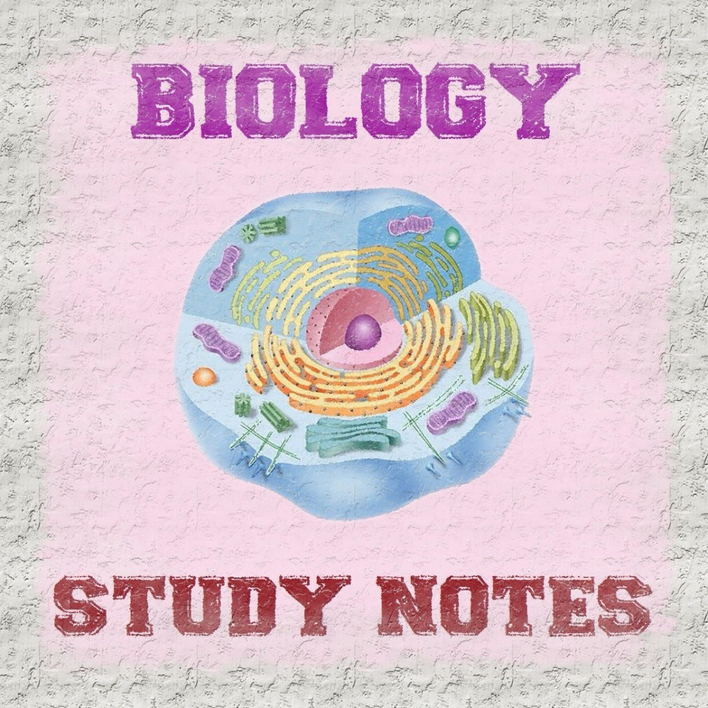 Biology Study Notes pdf