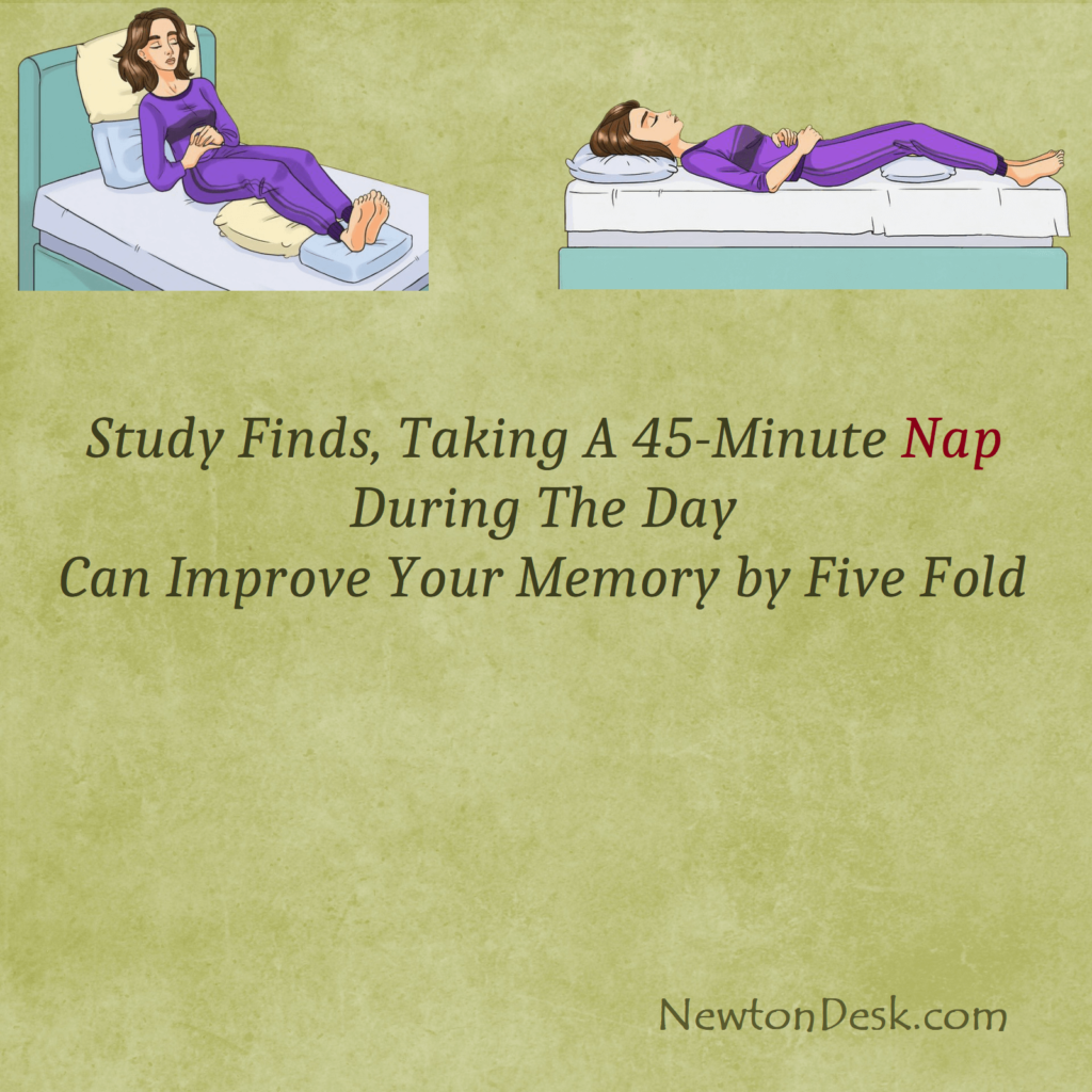 afternoon nap improve memory