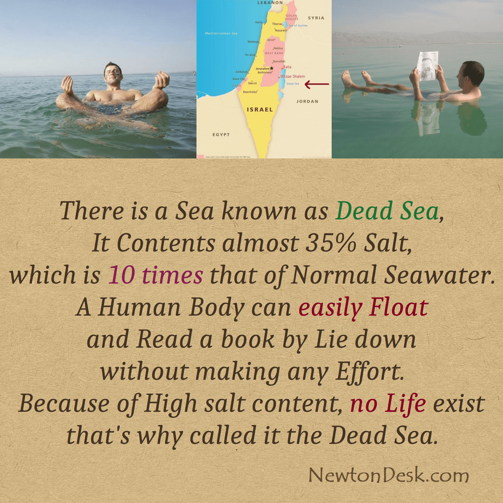 13 Mind-blowing Facts About Dead Sea 