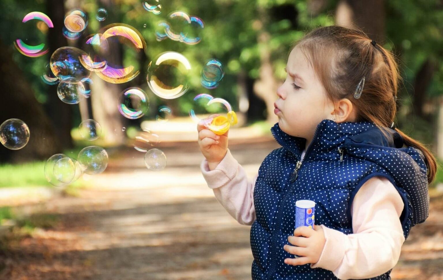 Why Are Bubbles Formed In Soap Solution? Types of Soap