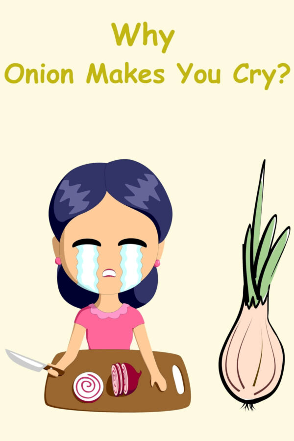 Why Do Onions Make You Cry and How To Prevent It? Scientific Explain