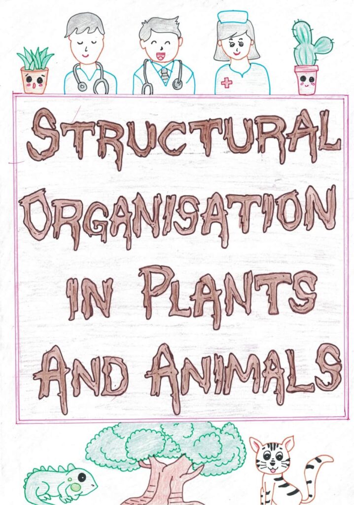 structural organisation in plants and animals handwritten notes