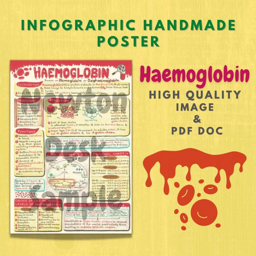 hemoglobin infographic aesthetic poster image pdf